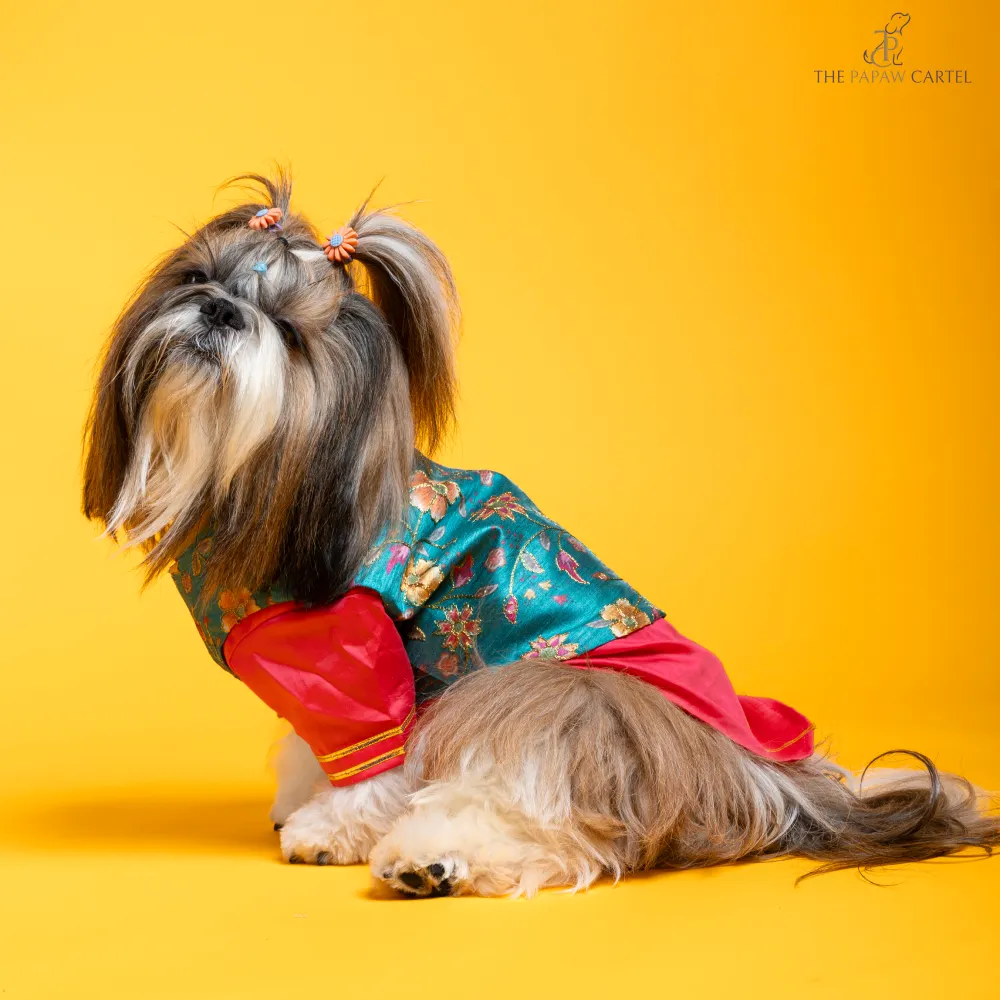 The Papaw Cartel Fuschia Kurta with Contrasting Floral Teal Koti for Dogs (Pink)