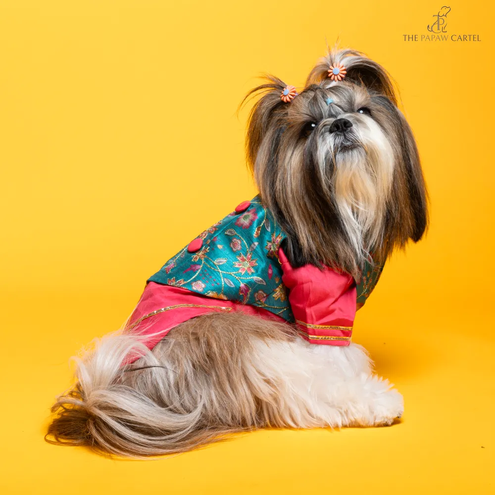 The Papaw Cartel Fuschia Kurta with Contrasting Floral Teal Koti for Dogs (Pink)
