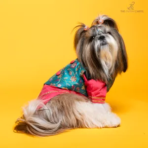The Papaw Cartel Fuschia Kurta with Contrasting Floral Teal Koti for Dogs (Pink)