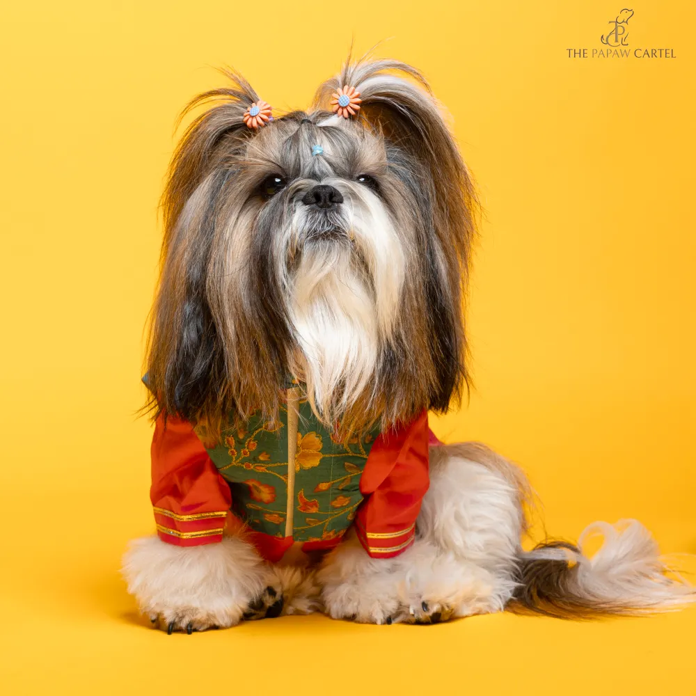 The Papaw Cartel Fuschia Kurta with Contrasting Floral Teal Koti for Dogs (Pink)