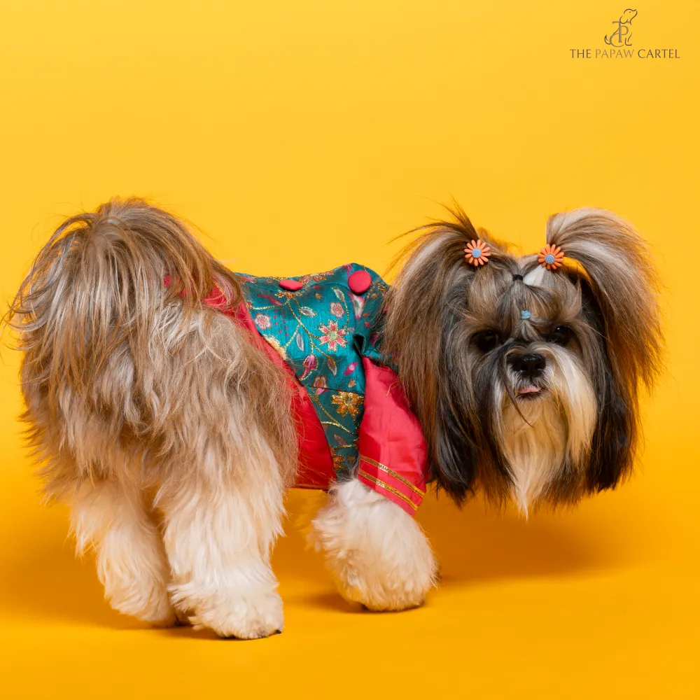 The Papaw Cartel Fuschia Kurta with Contrasting Floral Teal Koti for Dogs (Pink)