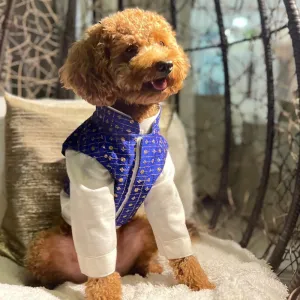 The Papaw Cartel Koti with Kurta Set for Dogs (Blue)