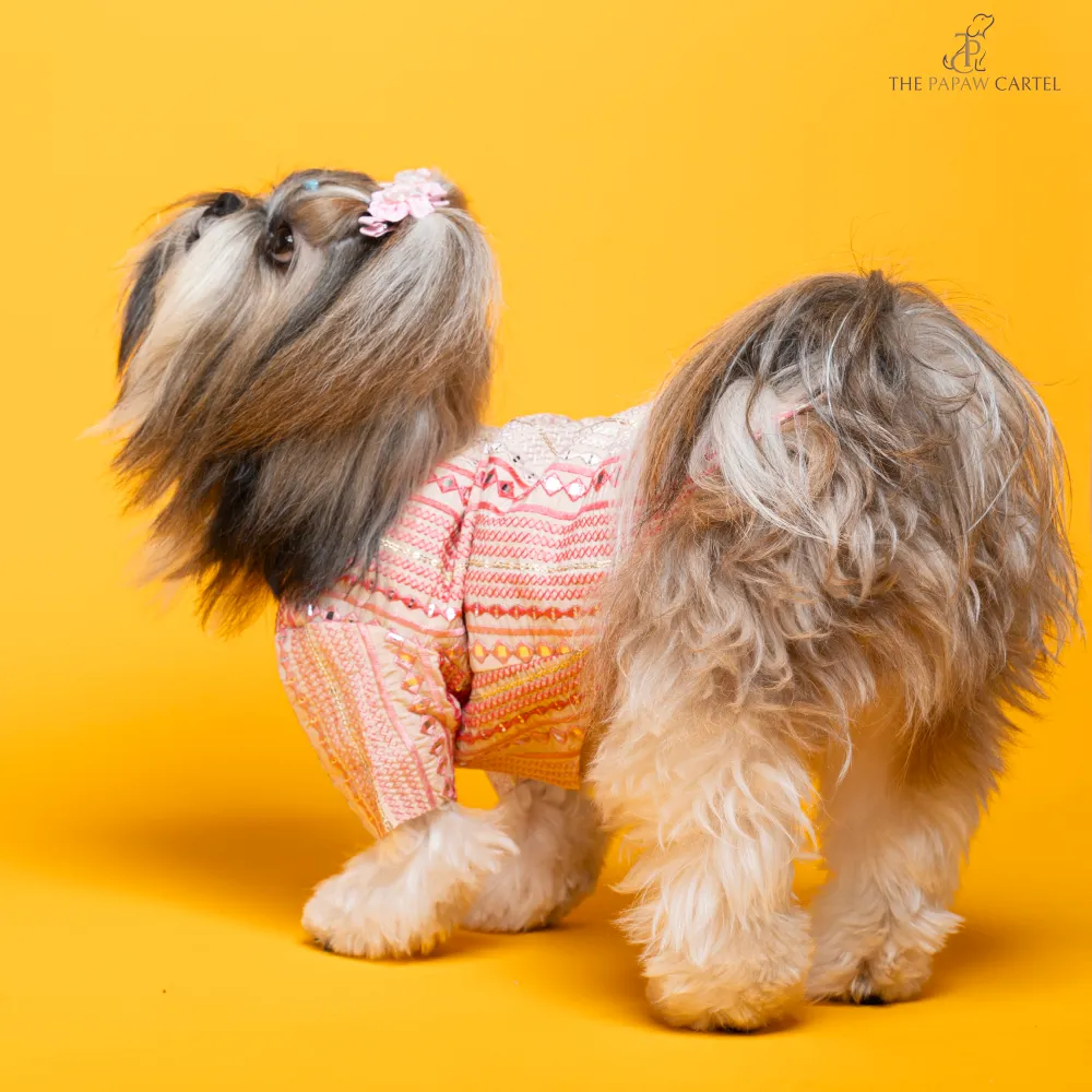 The Papaw Cartel Mirrored Sherwani for Dogs (Pink)