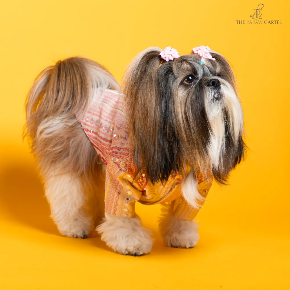 The Papaw Cartel Mirrored Sherwani for Dogs (Pink)