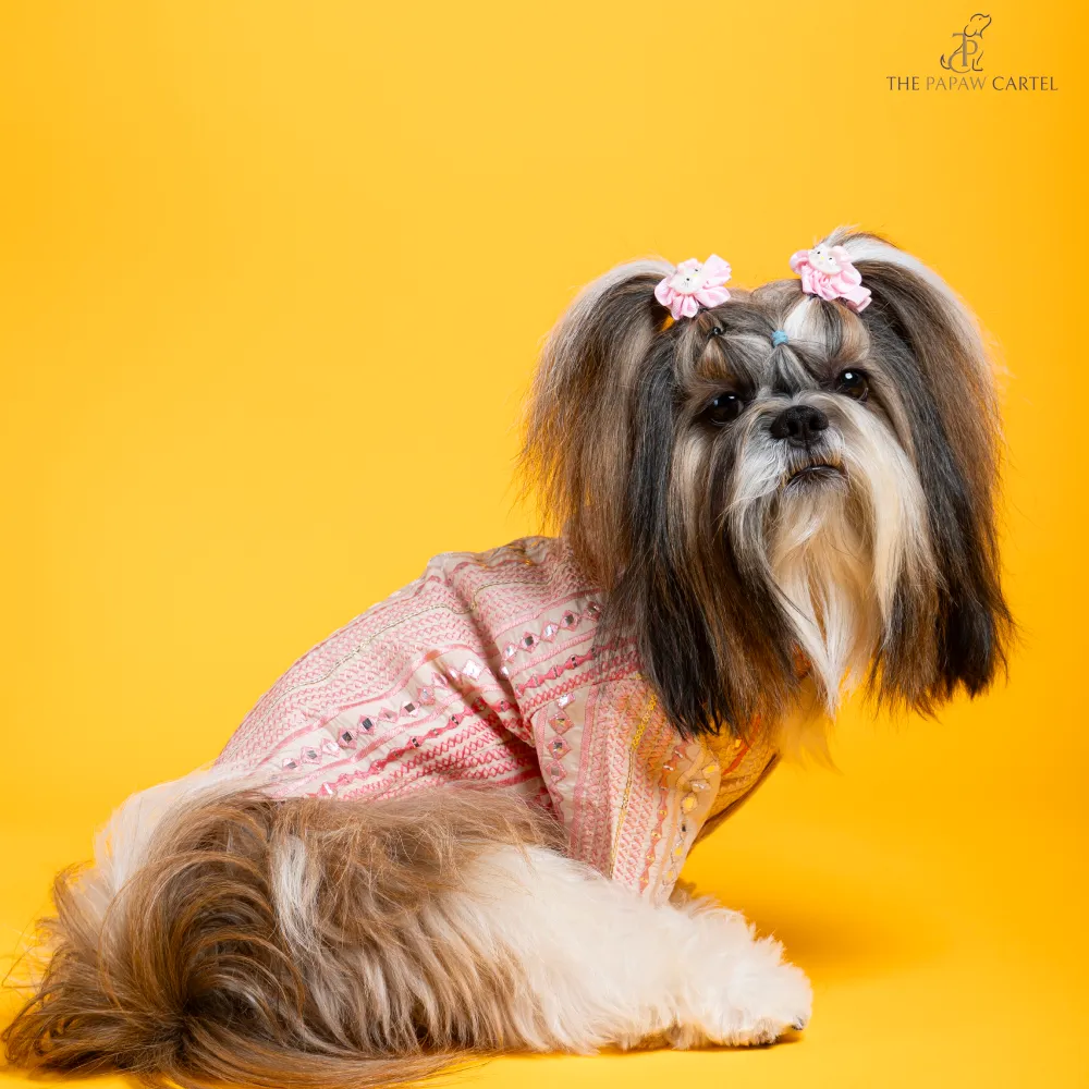 The Papaw Cartel Mirrored Sherwani for Dogs (Pink)