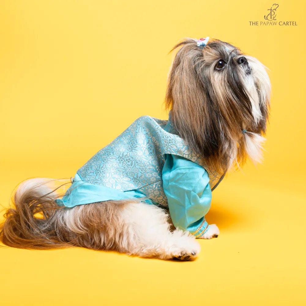 The Papaw Cartel Neemzari Koti Kurta for Dogs (Sky Blue)