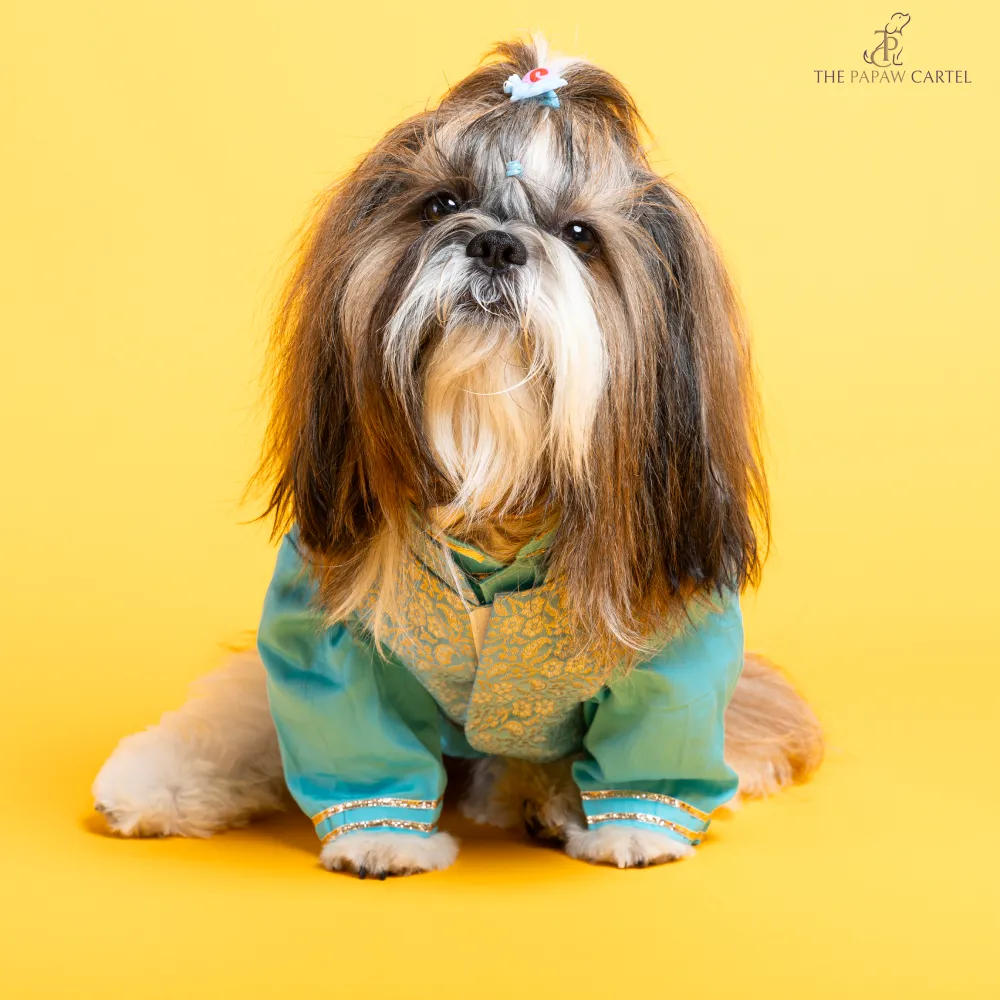 The Papaw Cartel Neemzari Koti Kurta for Dogs (Sky Blue)