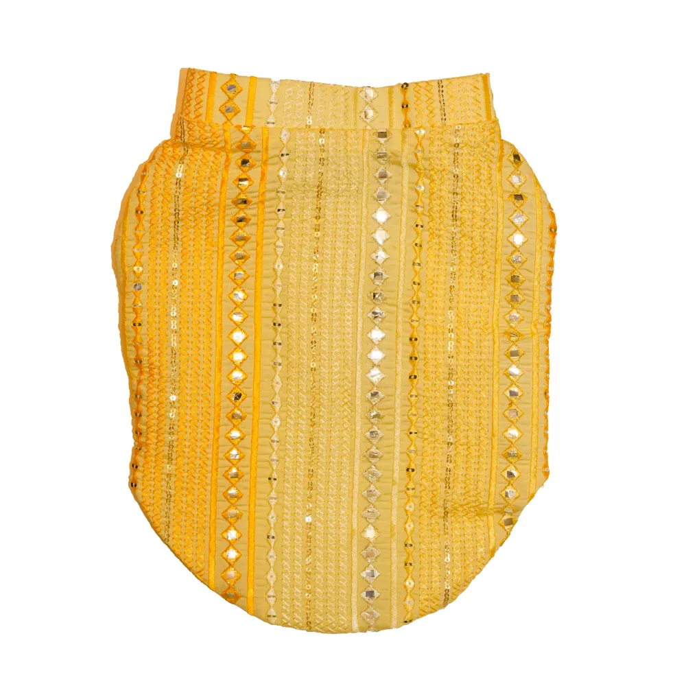 The Papaw Cartel Sunrise Koti Kurta Set with Mirror Embroidery for Dogs (Yellow)