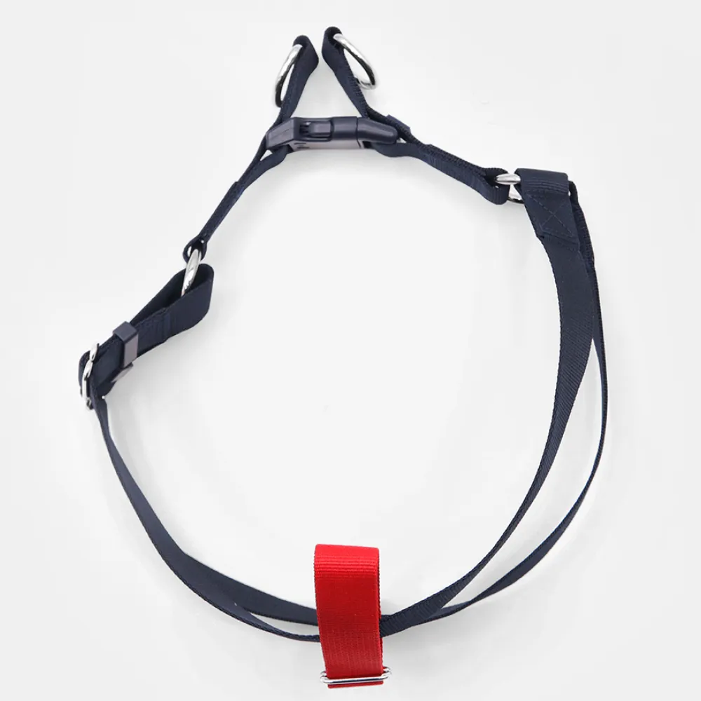 Tommy Hilfiger Blocked Harness for Dogs (Red)