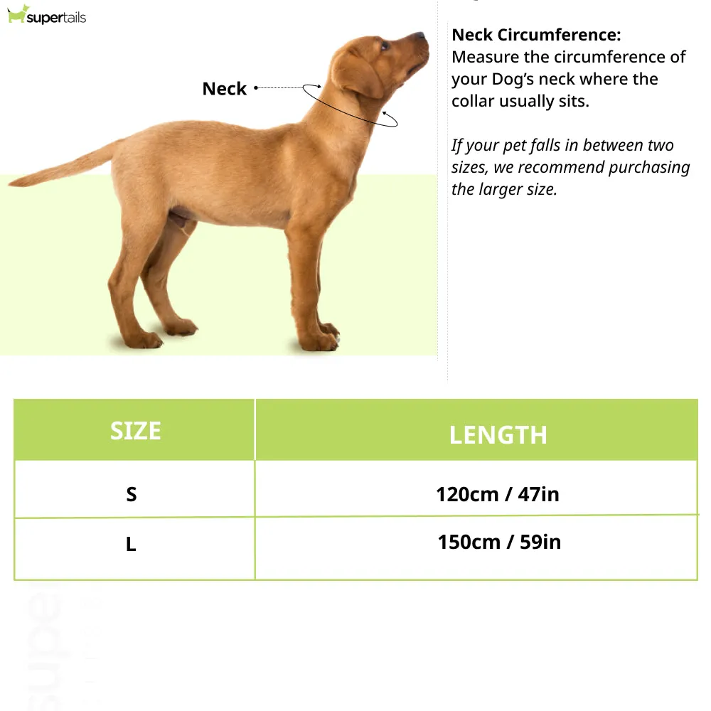 Tommy Hilfiger Webbing Leash for Dogs (Spring Lime)