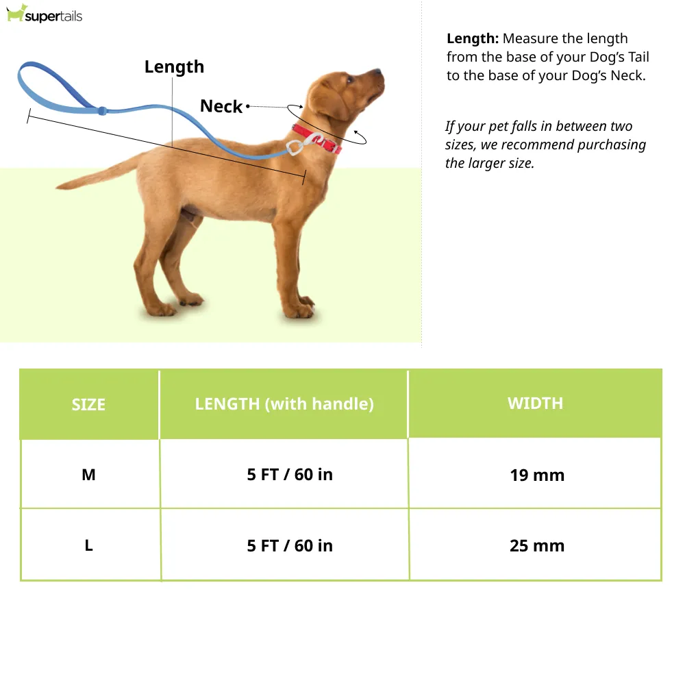 TopDog Premium Abstract Printed Nylon Leash for Dogs (Cream)