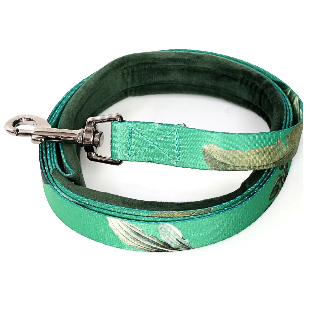 TopDog Premium Leaves Printed Nylon Leash & Collar Set for Dogs (Green)