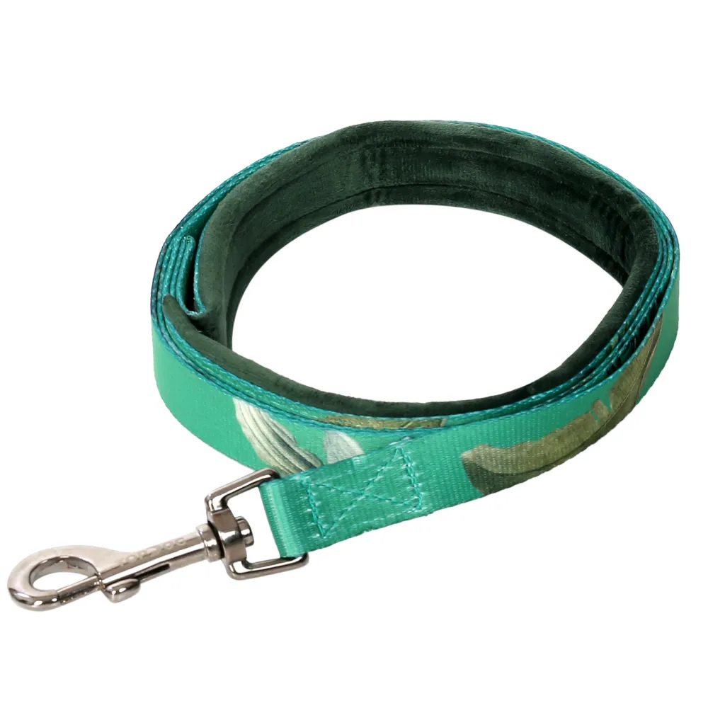 TopDog Premium Leaves Printed Nylon Leash & Collar Set for Dogs (Green)