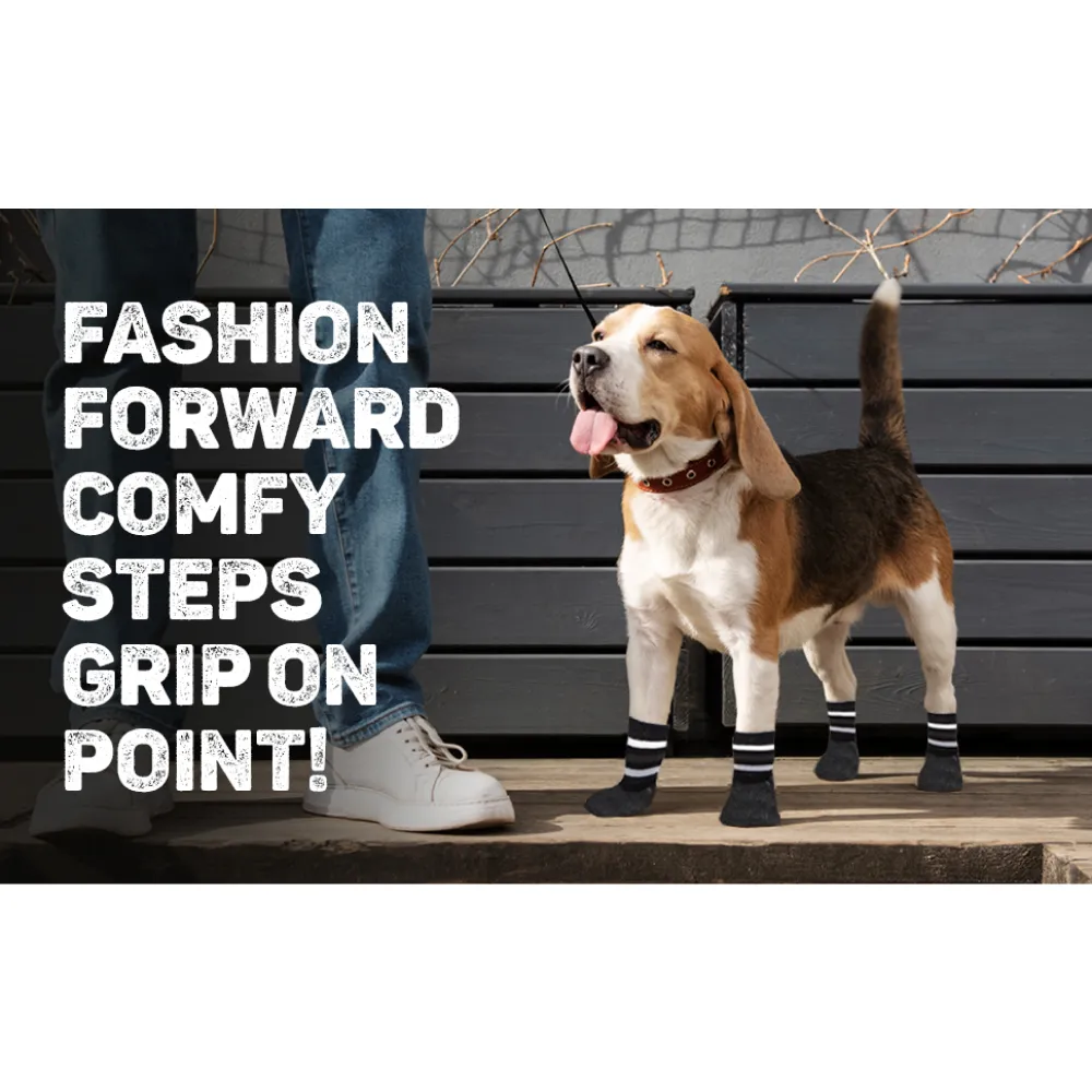 Trixie Non Slip with All Round Rubber Coated Socks for Dogs (Black)
