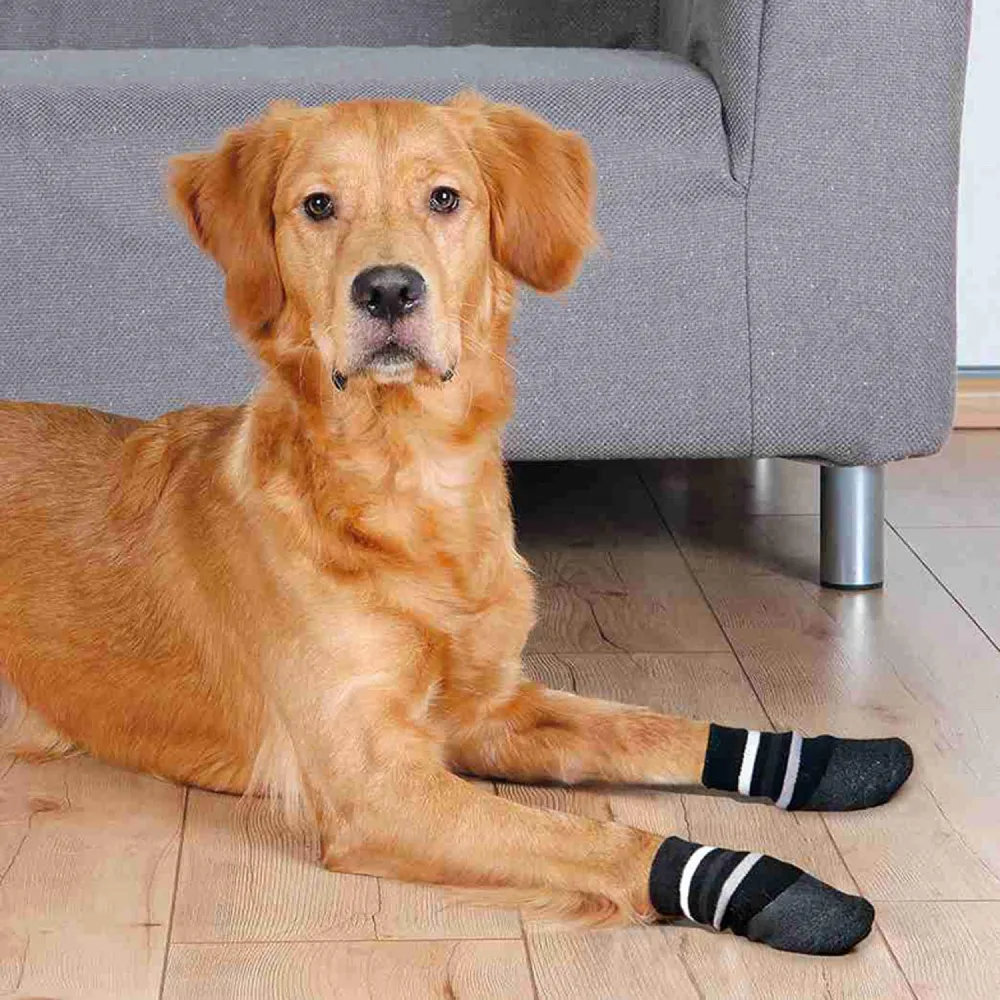 Trixie Non Slip with All Round Rubber Coated Socks for Dogs (Black)