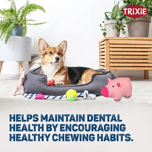 Trixie Pig Latex Intreactive chew Toy for Dogs (Blue)