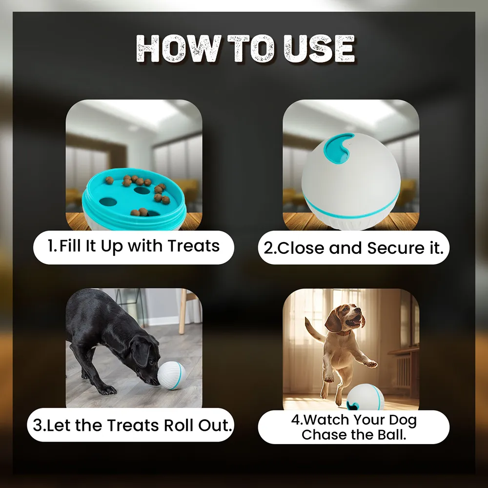 Trixie Plastic Snack Ball Treat Dispenser Toy for Dogs (Blue)