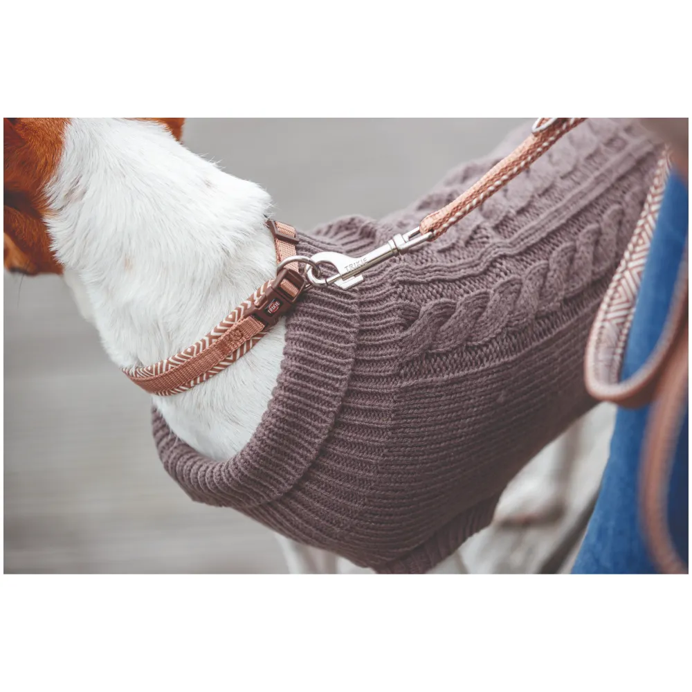 Trixie Premium Extra Wide Neoprene Padded Collar for Dogs (Boho Diamond/Caramel)