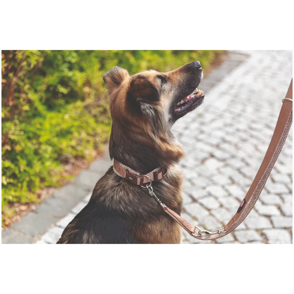 Trixie Premium Extra Wide Neoprene Padded Collar for Dogs (Boho Diamond/Caramel)