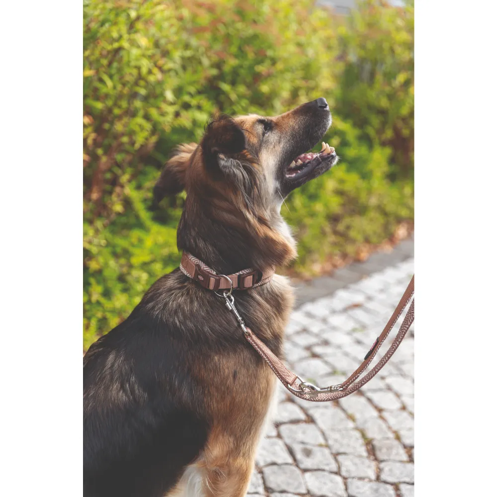Trixie Premium Extra Wide Neoprene Padded Collar for Dogs (Boho Diamond/Caramel)