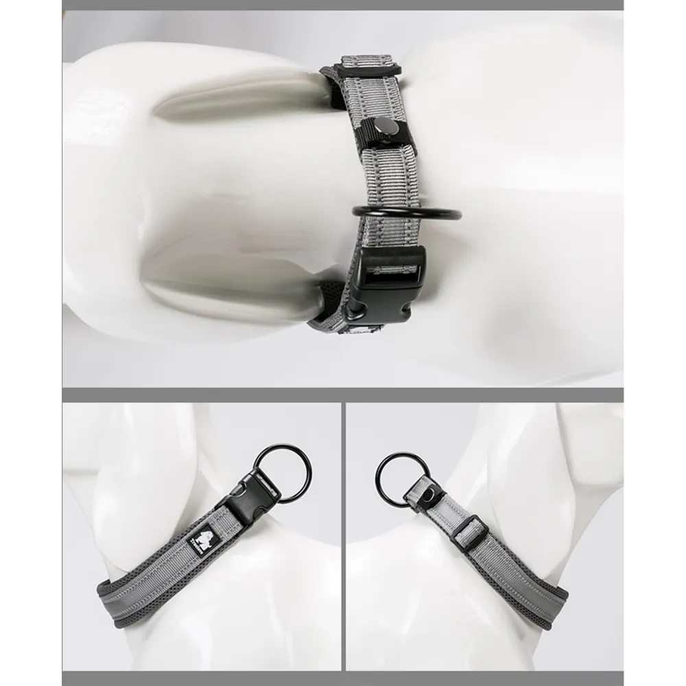 Truelove Classic Collar for Dogs (Grey)