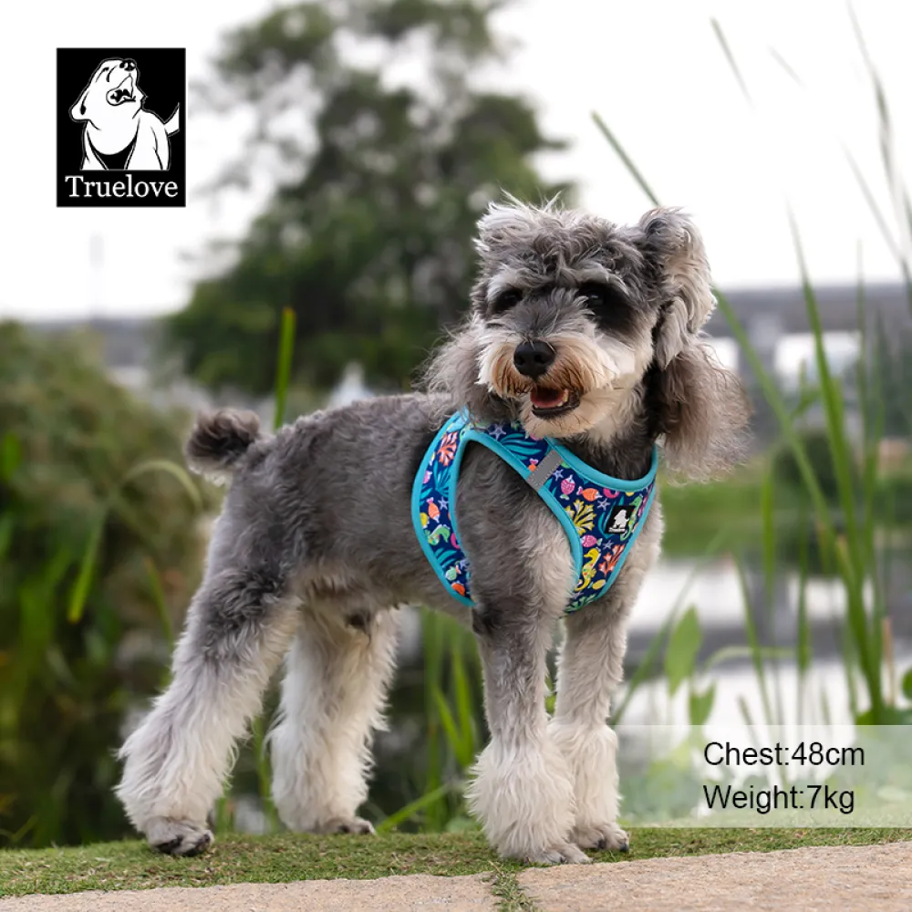 Truelove Floral Printed Breathable Air Mesh with with Dual D Rings Harness for Dogs (Blue Atoll)