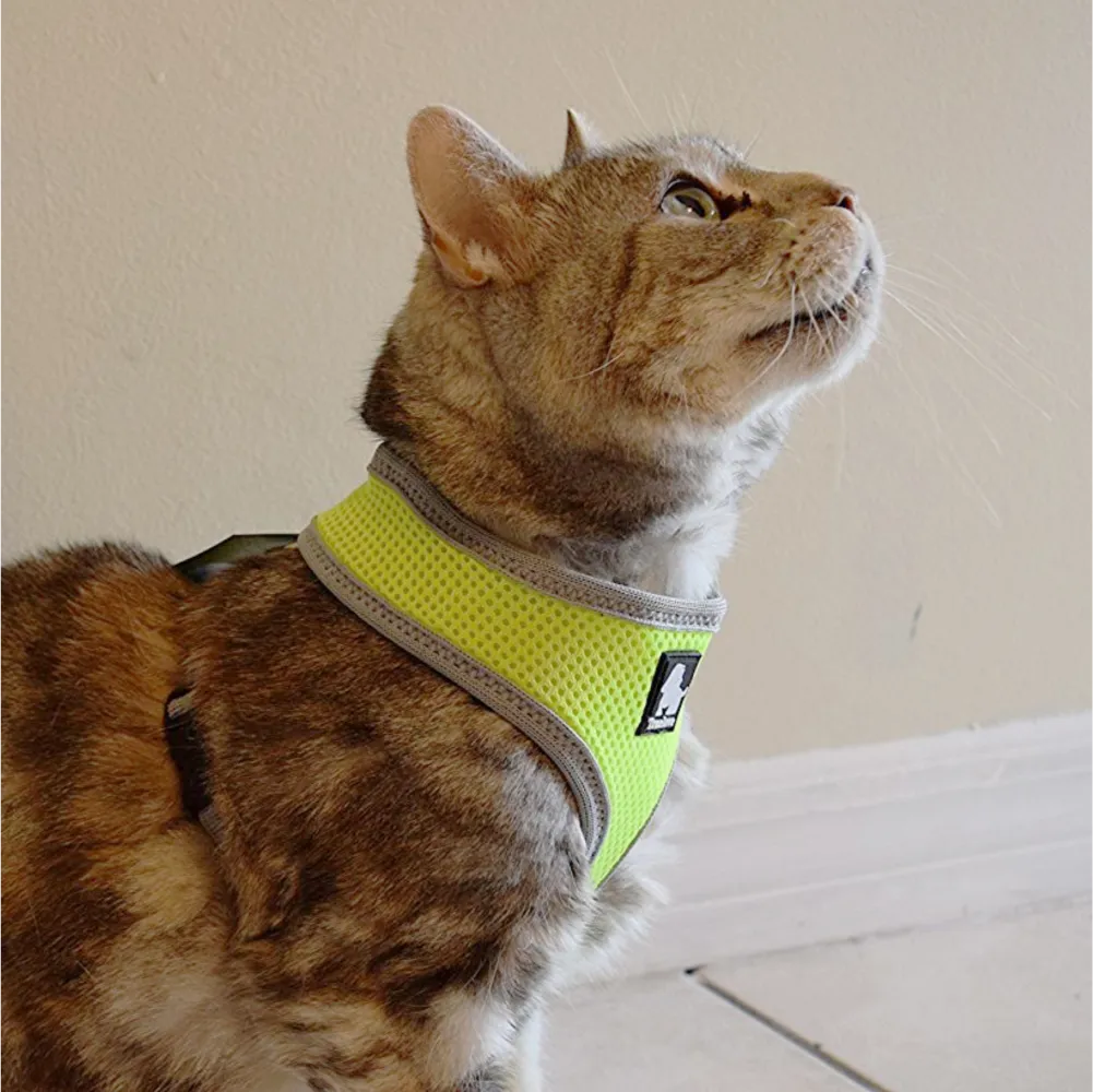 Truelove Harness for Cats and Small Dogs (Orange)