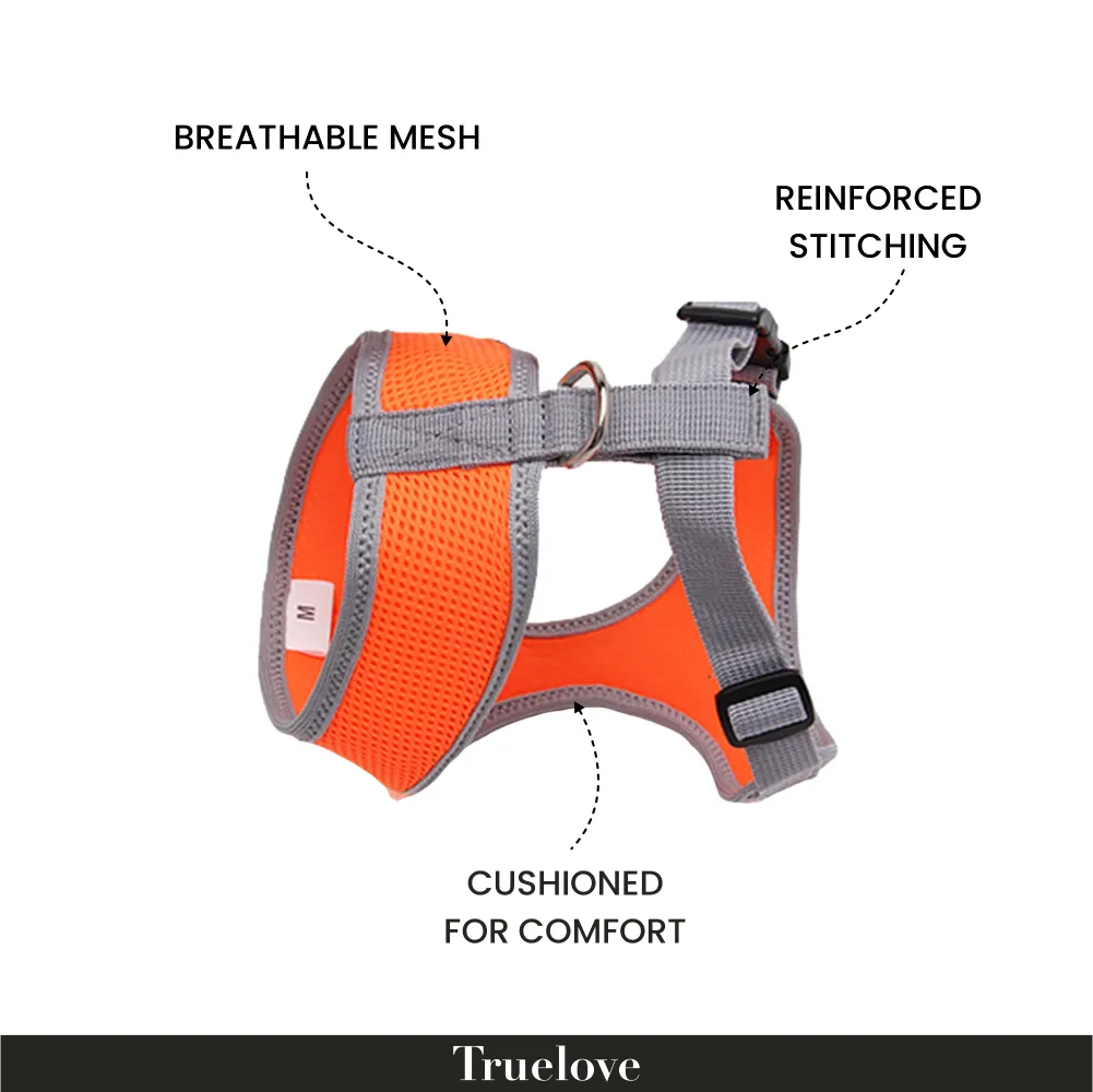 Truelove Harness for Cats and Small Dogs (Orange)