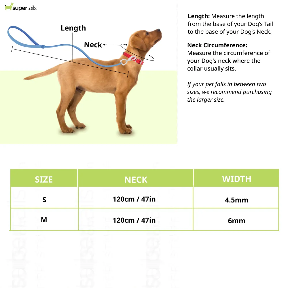 Truelove High Density Reflective Rope Webbing Leash for Dogs (Orange)