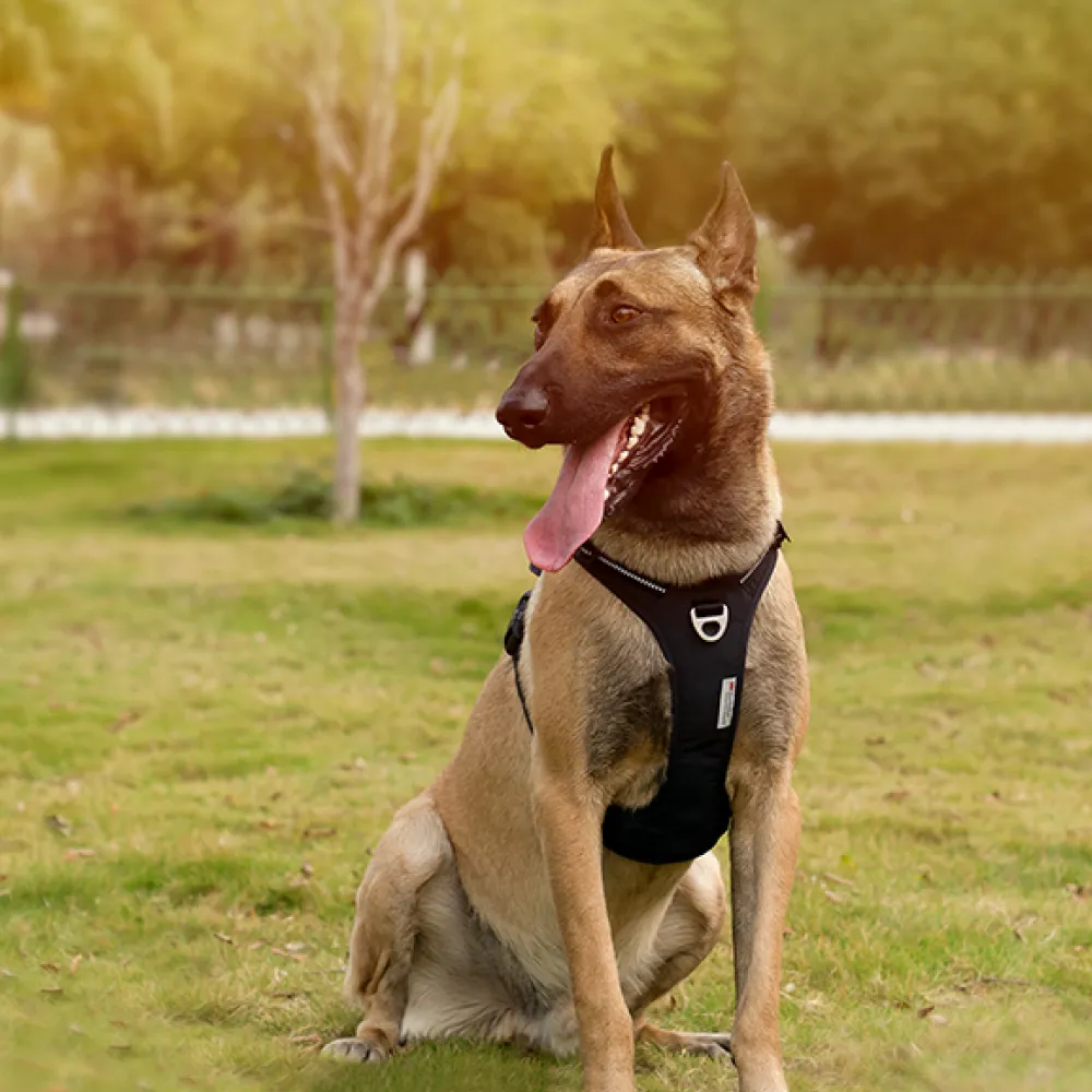 Truelove No Pull Cordura Harness with 3M Reflective Material for Dogs (Black)