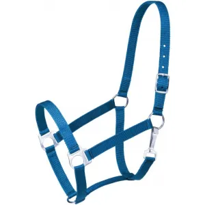TURQUOISE Economy Nylon Halter Yearling