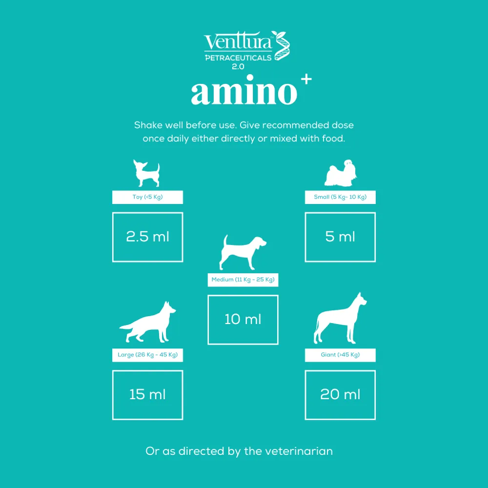 Venttura Amino Plus Syrup for Dogs