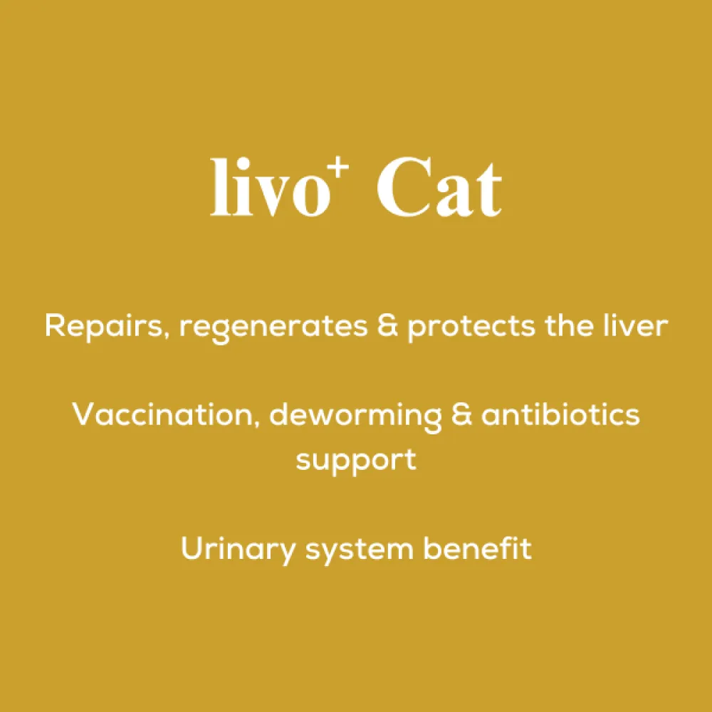 Venttura Liver Repair, Support Recovery & Recuperation Supplement for Cats