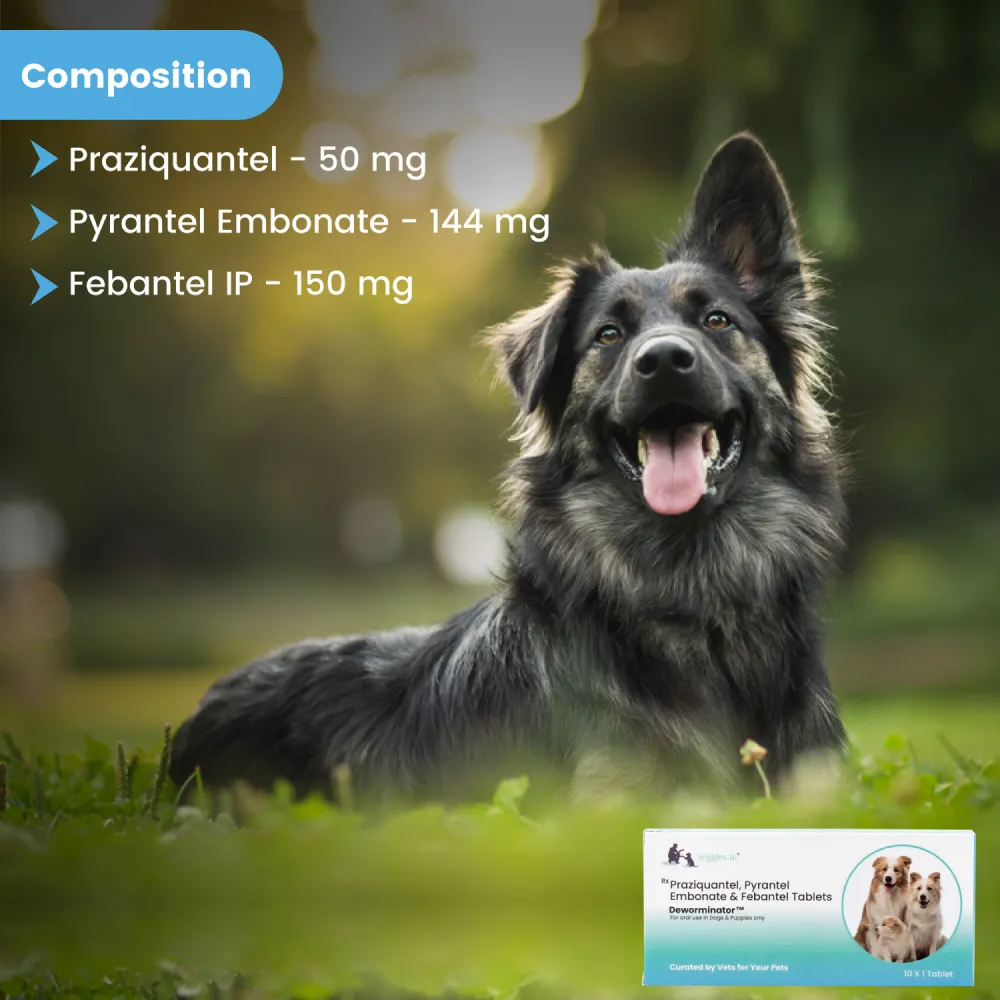 Wiggles Deworminator Deworming Tablets for Dogs and Cats