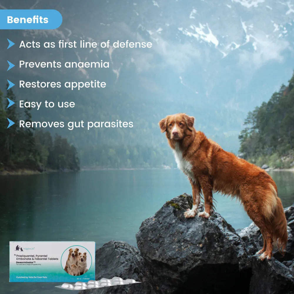 Wiggles Deworminator Deworming Tablets for Dogs and Cats