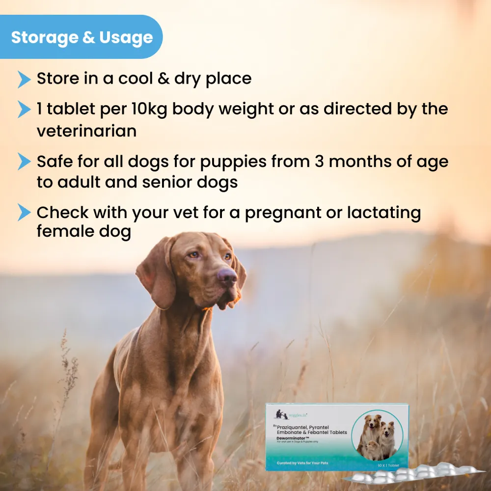 Wiggles Deworminator Deworming Tablets for Dogs and Cats