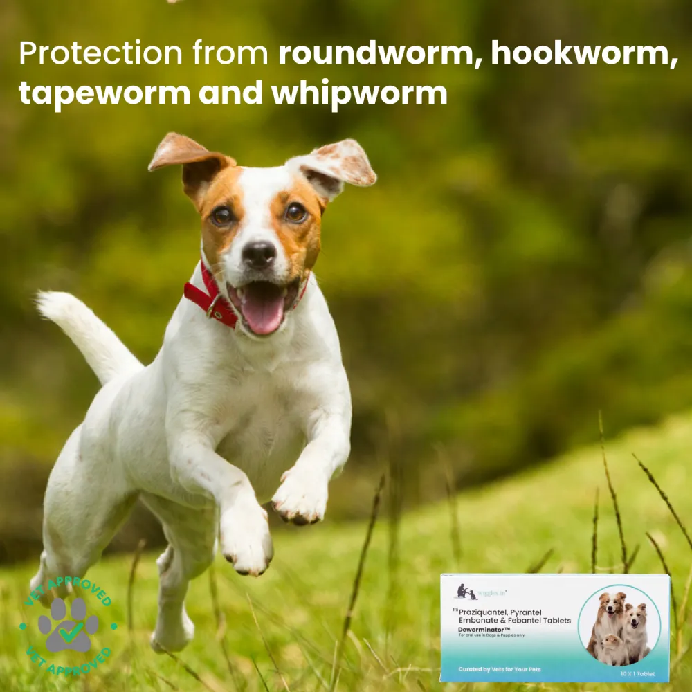 Wiggles Deworminator Deworming Tablets for Dogs and Cats