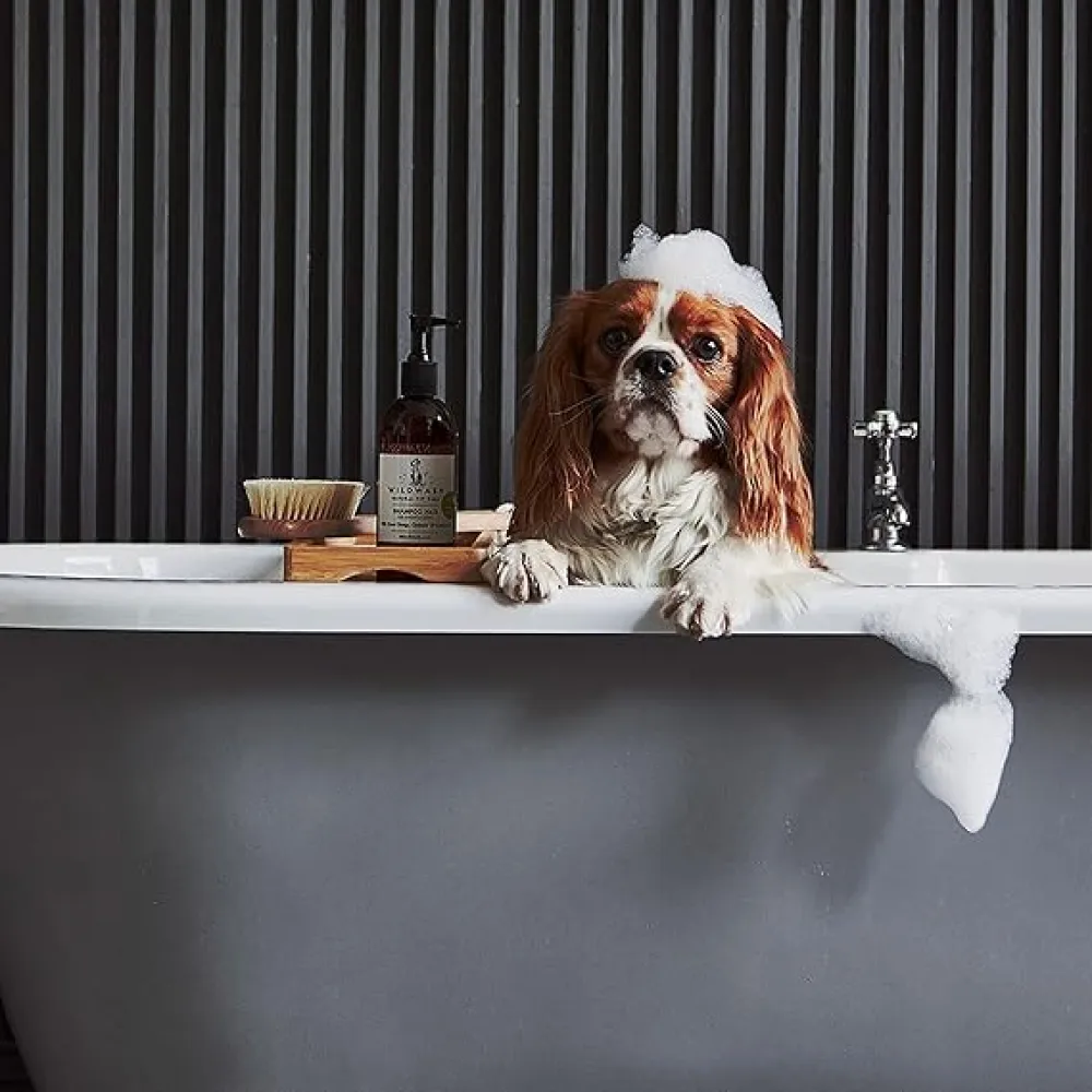 WildWash Shampoo For Dark or Greasy coats for Dogs and Cats