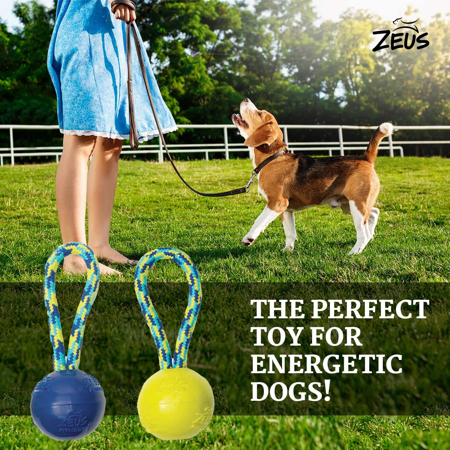 Zeus Rope Ball Tug with Single Hand Loops Toy for Dogs (Yellow)