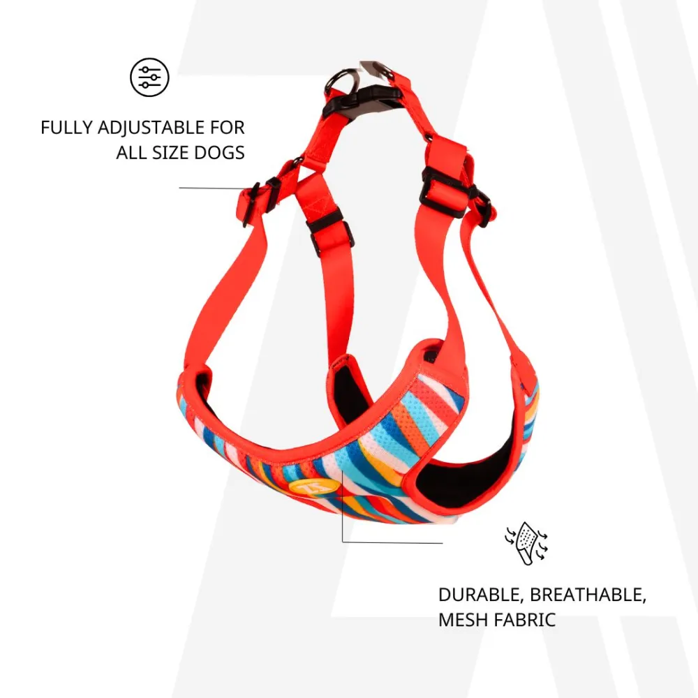 Zoomiez Adjustable Tango Printed Step in Mesh Harness for Dogs