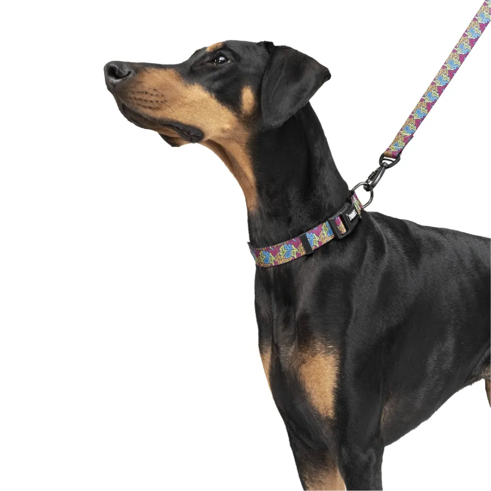 Zoomiez Bolt Printed Collar for Dogs