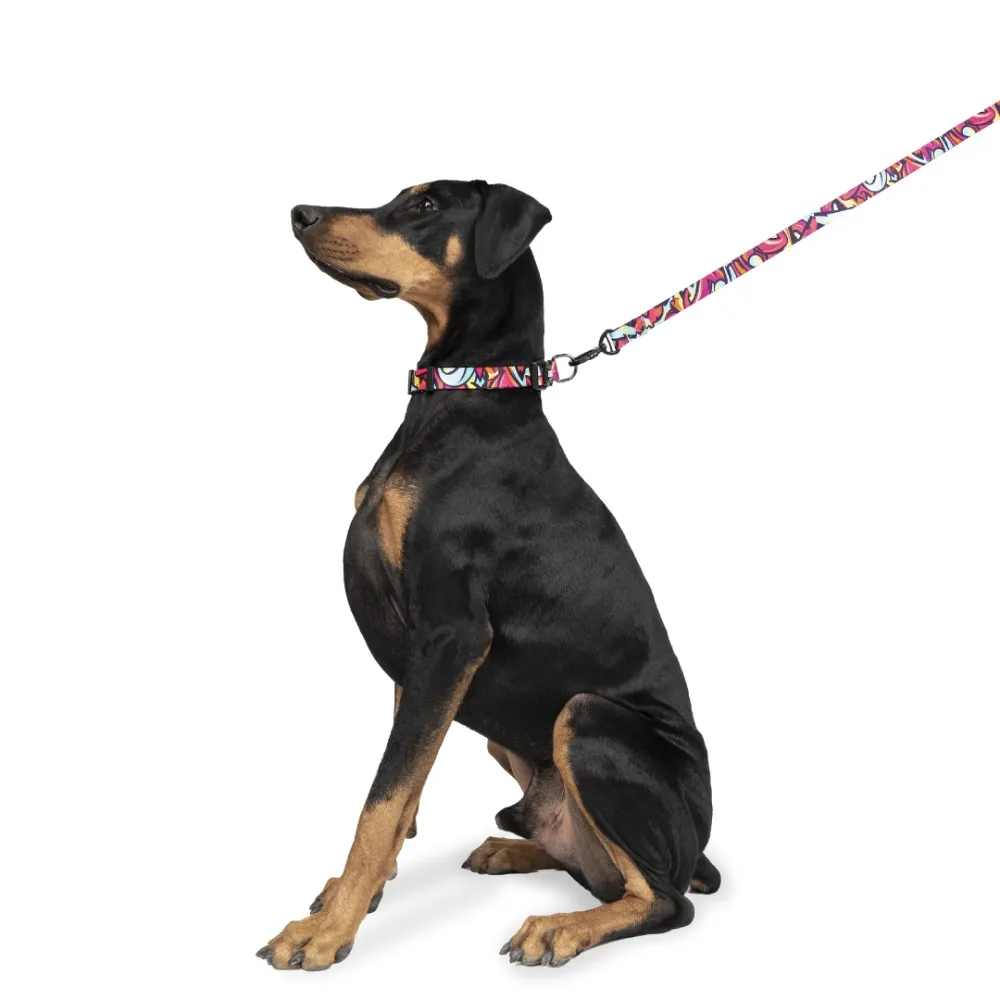 Zoomiez Drip Printed Collar for Dogs