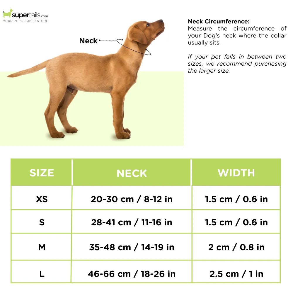 Zoomiez Fluid Printed Collar for Dogs