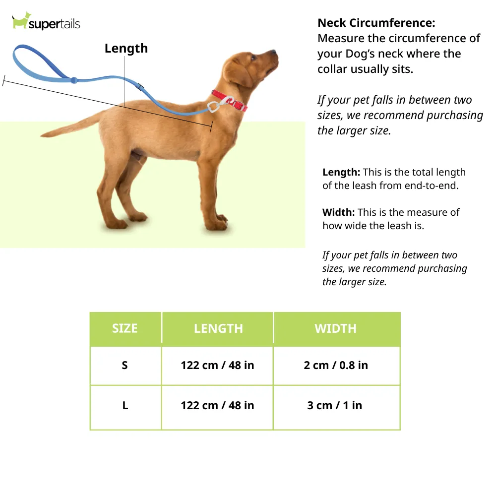 Zoomiez Splash Printed Leash for Dogs