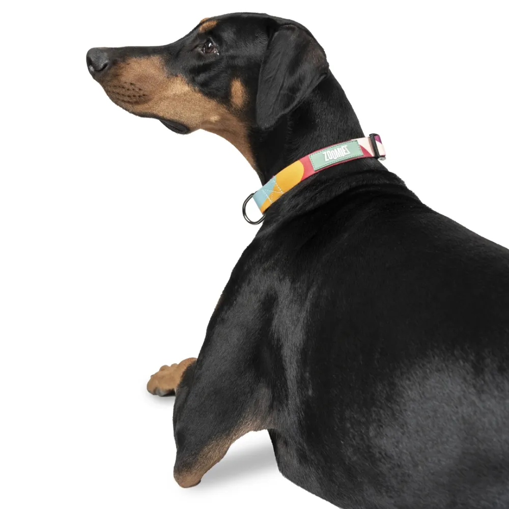 Zoomiez Swirl Printed Collar for Dogs