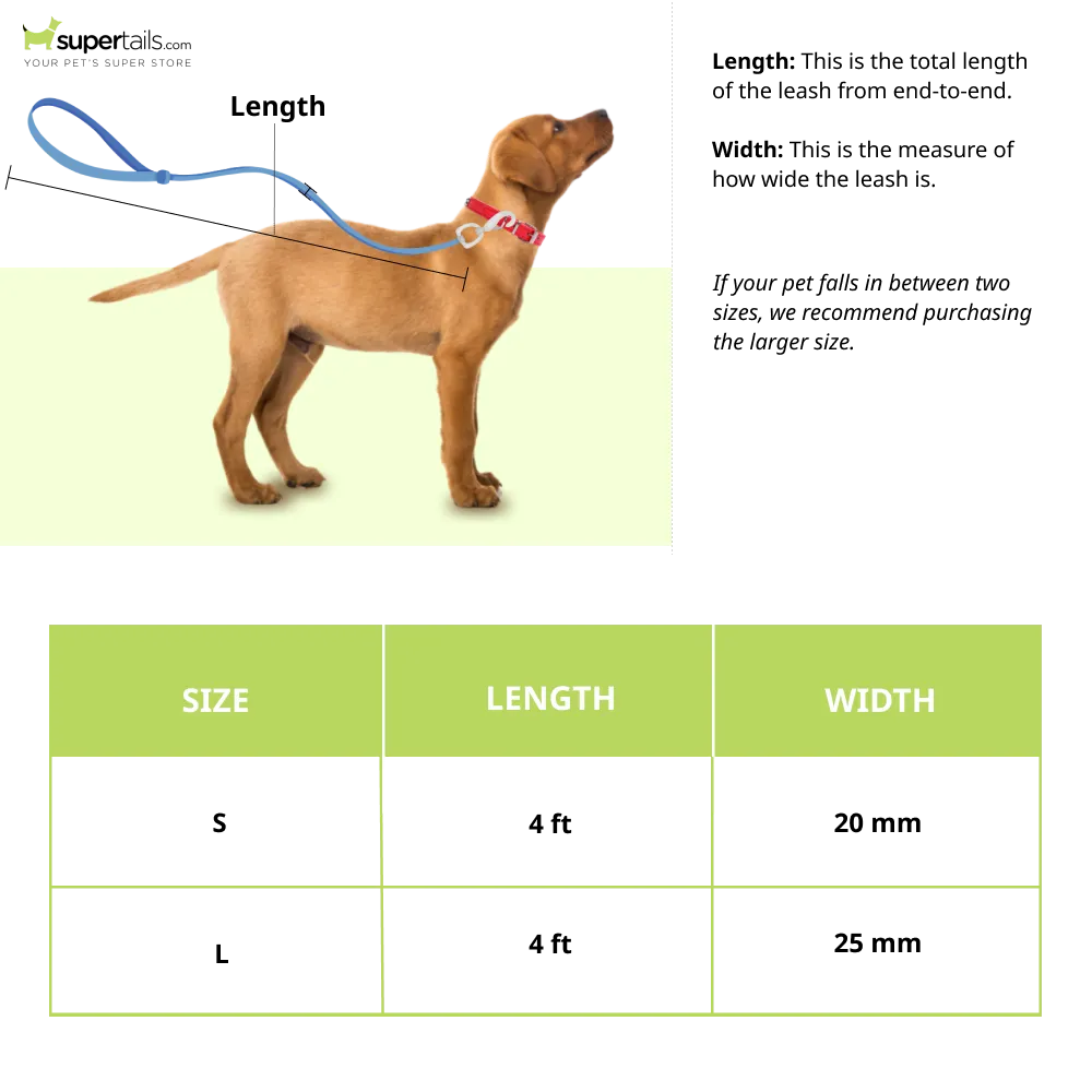 Zoomiez Swirl Printed Leash for Dogs